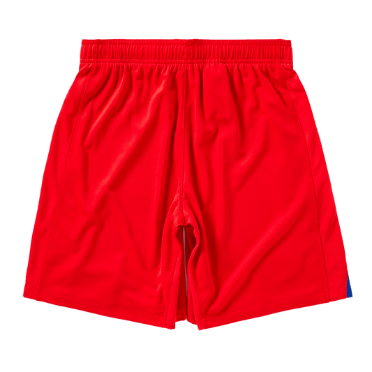 PSG Tröja Tredjeställ 2025/26 Röd-1